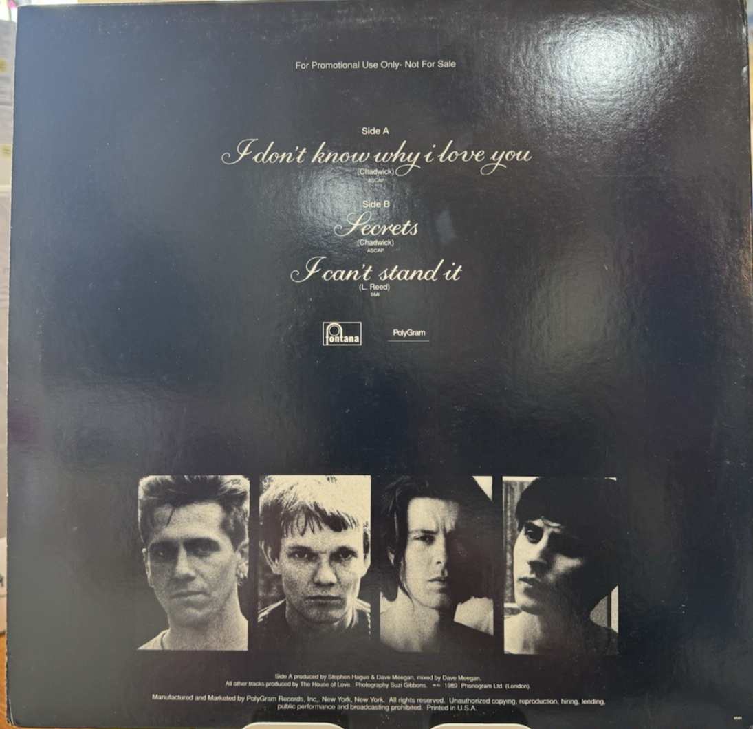 The House Of Love - I Don't Know Why I Love You (12", Single)