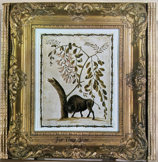 Soft Shoe – For Those Alone LP 1978 UK Private Press Folk Psych RARE Played Once